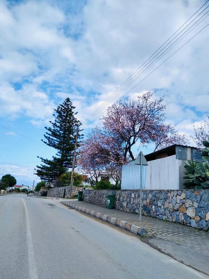 Royal Life Residence Poseidon Studio Trikomo エクステリア 写真